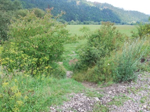 CYKLOTRASA - Výstavba cezhraničnej slovensko-poľskej turistickej trasy - úsek 2 - Krásno nad Kysucou